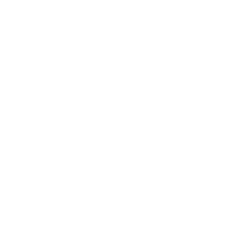 SecureG Security and Privacy Benefits Icon