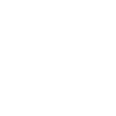SecureG Cybersecurity Icon